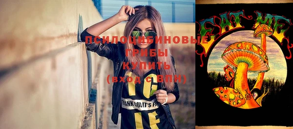 apvp Каменск-Шахтинский